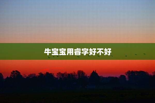 牛宝宝用睿字好不好