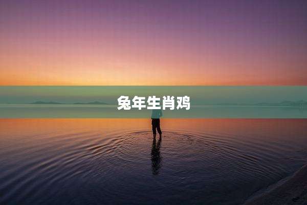 兔年生肖鸡