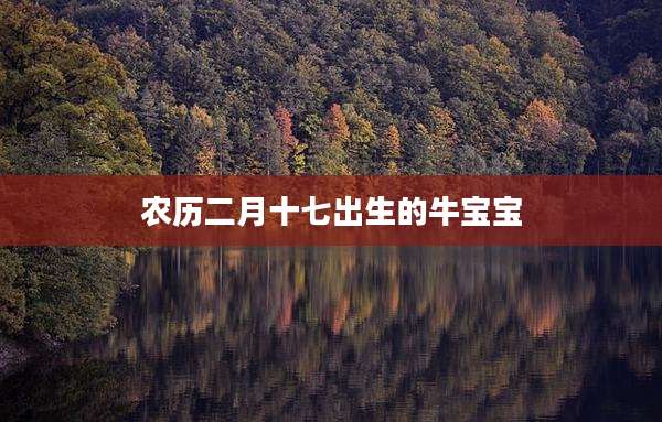 农历二月十七出生的牛宝宝