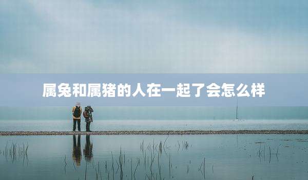 属兔和属猪的人在一起了会怎么样