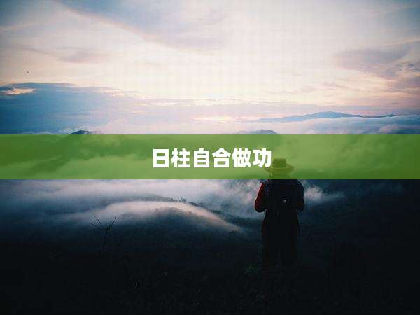日柱自合做功
