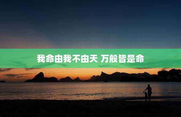 我命由我不由天 万般皆是命
