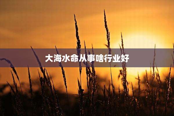 大海水命从事啥行业好