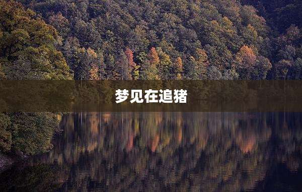 梦见在追猪