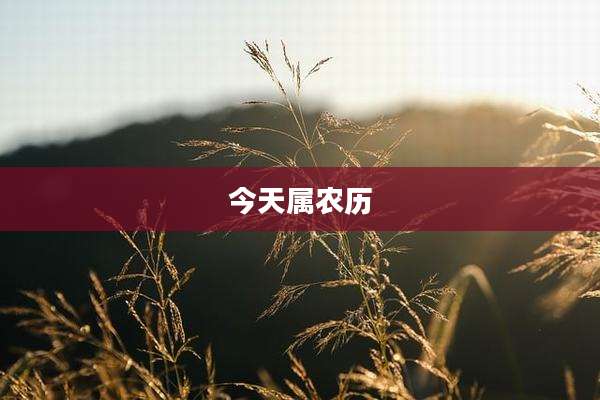 今天属农历