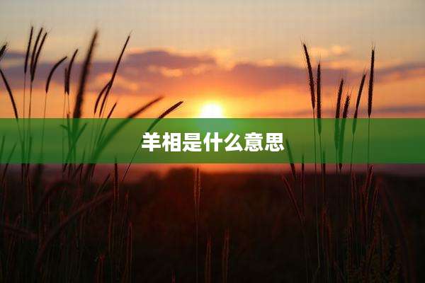 羊相是什么意思