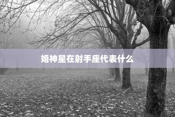 婚神星在射手座代表什么