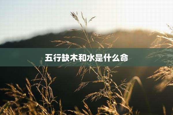 五行缺木和水是什么命