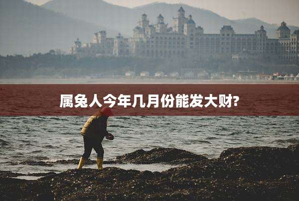 属兔人今年几月份能发大财?