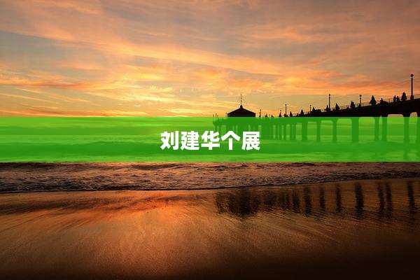刘建华个展