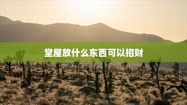 堂屋放什么东西可以招财
