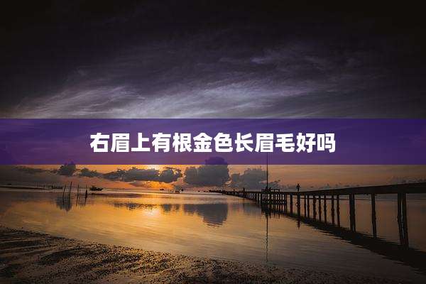 右眉上有根金色长眉毛好吗