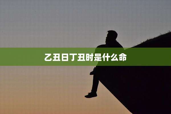 乙丑日丁丑时是什么命