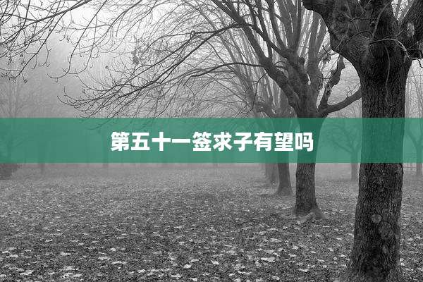 第五十一签求子有望吗