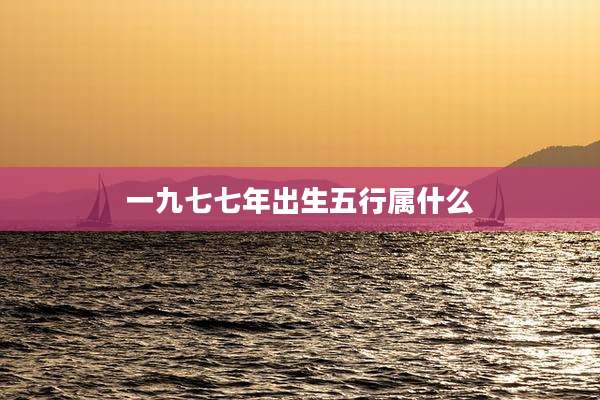 一九七七年出生五行属什么