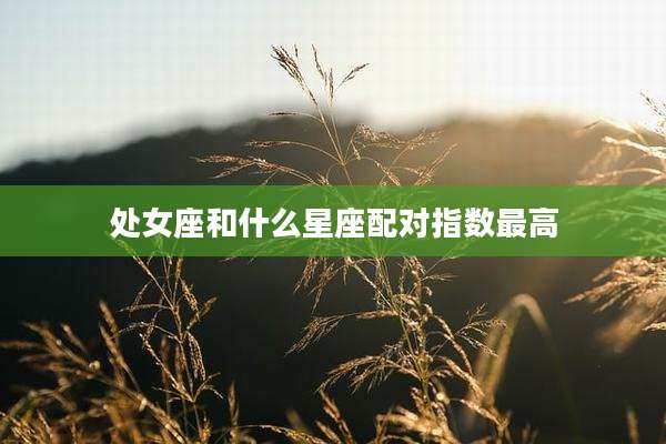 处女座和什么星座配对指数最高