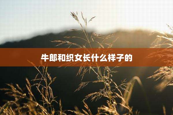 牛郎和织女长什么样子的