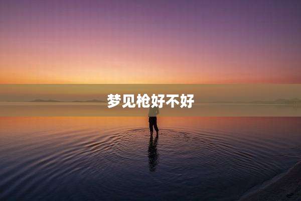 梦见枪好不好