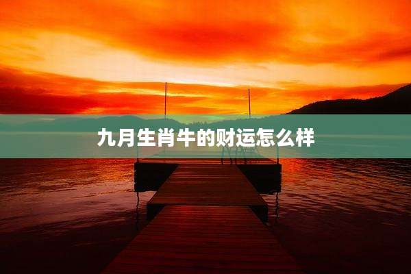 九月生肖牛的财运怎么样