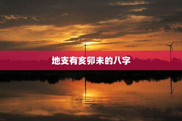 地支有亥卯未的八字