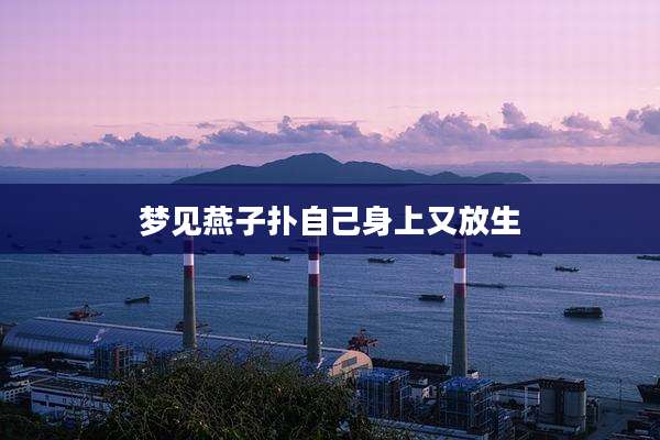 梦见燕子扑自己身上又放生