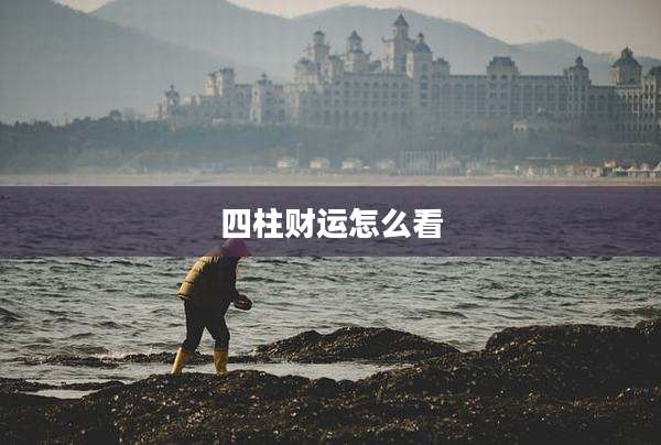 四柱财运怎么看