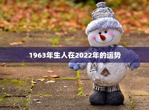 1963年生人在2022年的运势