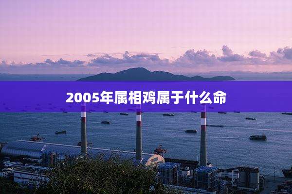 2005年属相鸡属于什么命