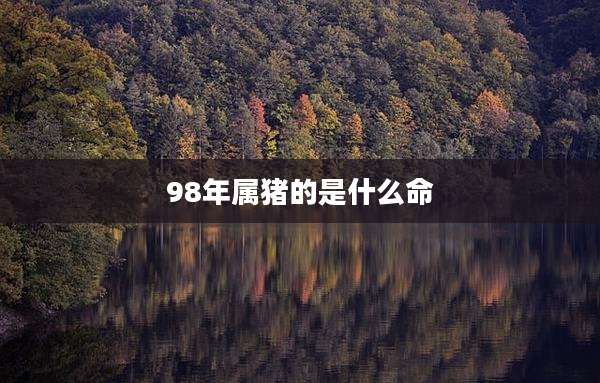 98年属猪的是什么命