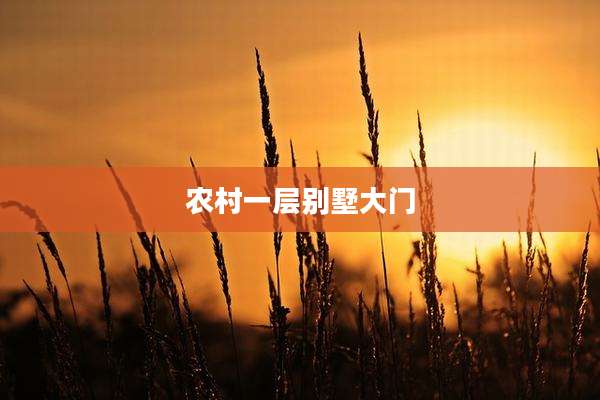 农村一层别墅大门