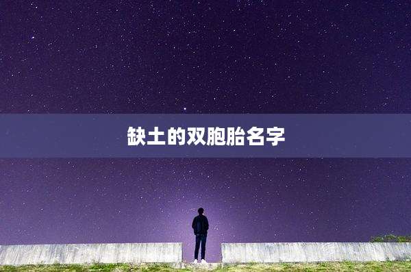 缺土的双胞胎名字