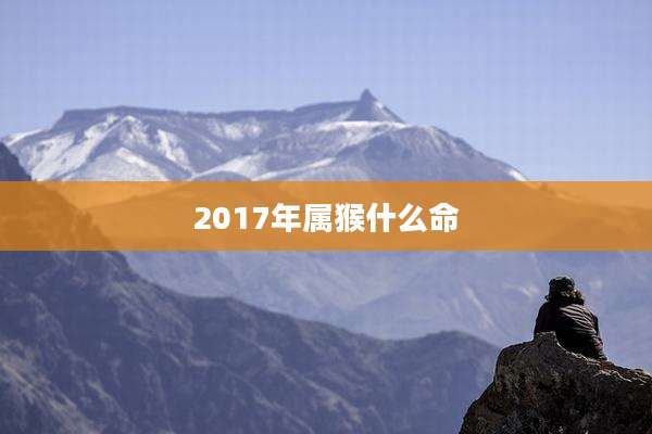 2017年属猴什么命