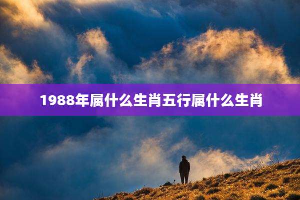 1988年属什么生肖五行属什么生肖