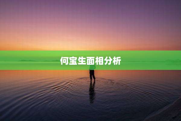 何宝生面相分析