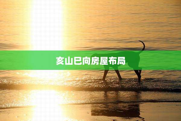 亥山巳向房屋布局