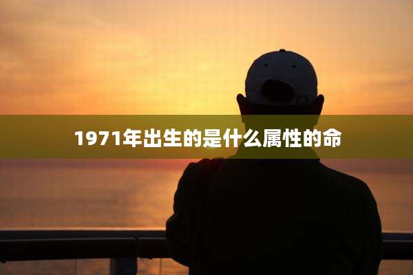 1971年出生的是什么属性的命