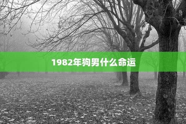 1982年狗男什么命运