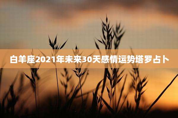 白羊座2021年未来30天感情运势塔罗占卜
