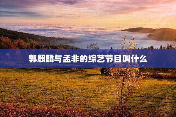 郭麒麟与孟非的综艺节目叫什么