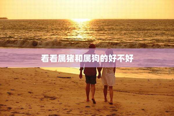 看看属猪和属狗的好不好
