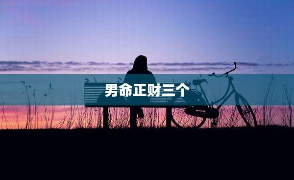 男命正财三个