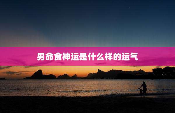 男命食神运是什么样的运气