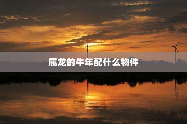 属龙的牛年配什么物件