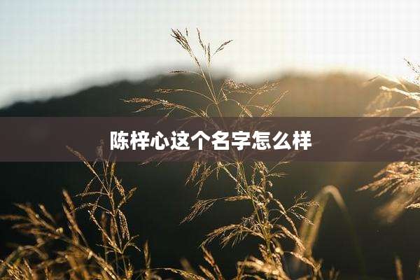 陈梓心这个名字怎么样