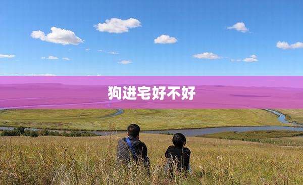 狗进宅好不好