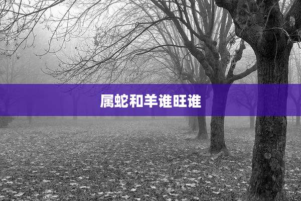 属蛇和羊谁旺谁