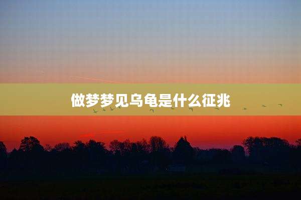 做梦梦见乌龟是什么征兆