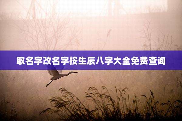 取名字改名字按生辰八字大全免费查询