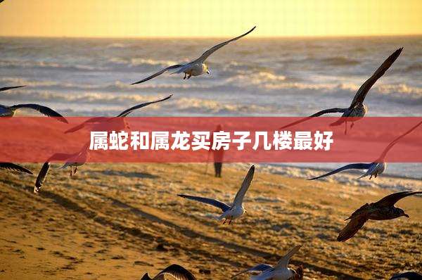 属蛇和属龙买房子几楼最好