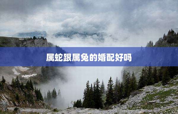 属蛇跟属兔的婚配好吗